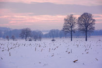 Ein stimmungsvoller Winterabend von gscheffbuch