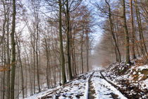 Tauwetter unter blauem Himmel im Wald by Ronald Nickel