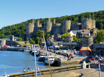 Conwy Castle von gscheffbuch