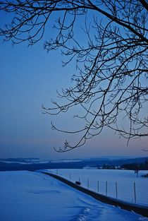 Winterabend... 3 by loewenherz-artwork