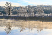 Rauhreif, Nebel, Sonnenschein  by Bernhard Kaiser