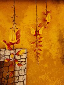 Indian clock vine on golden yellow background  by Ro Mokka