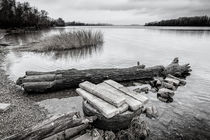 Tree Trunk in the River by maxal-tamor