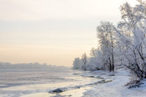 Trees covered by frost, ice and snow close to the Dnieper River by maxal-tamor