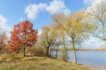 Autumn Trees  Close to the Dnieper River von maxal-tamor