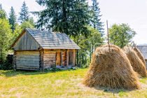 Cabin in the Shadow by maxal-tamor