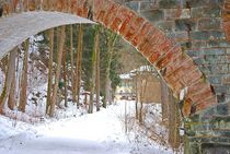 Haus im Wald... von loewenherz-artwork