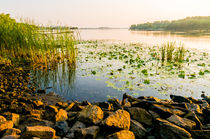 View of the Dniper River at morning by maxal-tamor