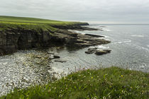 Schottlands Küsten, Insel Orkney von Andrea Potratz