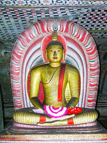 Dambulla Buddha by Sylvia Seibl