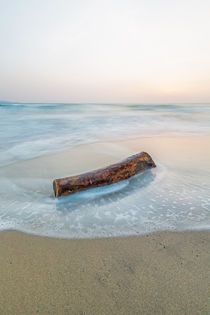 ~ Wood and Water #1 ~ by Henrik Spranz