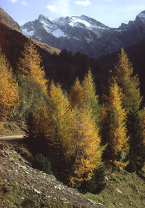  Südtirol von Karlheinz Milde