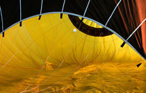 Ballooning von Sylvia Seibl