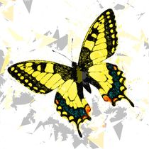 Butterfly 326 by David Dehner