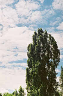 Summer sky von Anton Kudriashov
