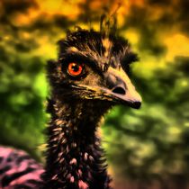 Fantasy Emu 5 by kattobello
