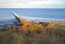 friedliches Wattenmeer... von loewenherz-artwork