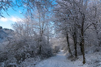 Wandern im Winterwald by Ronald Nickel