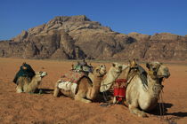 wadi rum dessert by JOMA GARCIA I GISBERT