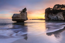 Coromandel by Christine Büchler