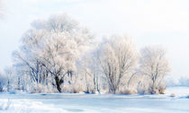 Frozen Water, Snow and Ice on the Dnieper River by maxal-tamor