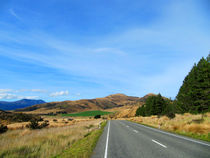 A road to nowhere? by nadini