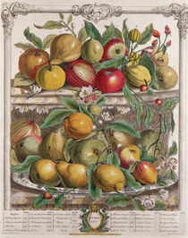 April, from 'Twelve Months of Fruits' by Pieter Casteels