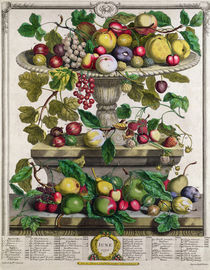 June, from 'Twelve Months of Fruits' von Pieter Casteels
