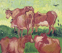 Cows, 1890 von Vincent Van Gogh