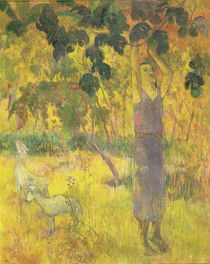 Man Picking Fruit from a Tree von Paul Gauguin