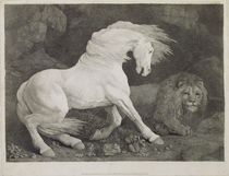 A Horse Affrighted by a Lion von George Stubbs