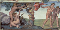 Sistine Chapel Ceiling : The Fall of Man von Michelangelo Buonarroti