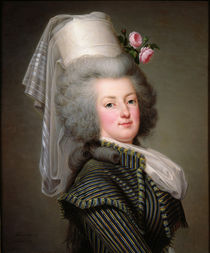 Marie-Antoinette of Habsbourg-Lorraine von Adolf Ulrich Wertmuller