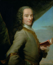 Portrait of the Young Voltaire von French School