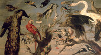 The Bird's Concert von Frans Snyders or Snijders