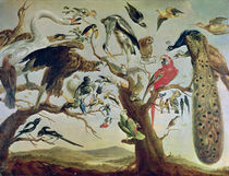 The Bird's Concert von Frans Snyders