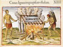 Cooking Fish, from 'Admiranda Narratio...' von John White