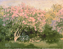 Lilac in the Sun, 1873 von Claude Monet