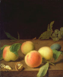 Fruit Still Life, 1730 von Balthasar Denner