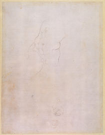Study of a male torso von Michelangelo Buonarroti