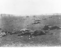 The Harvest of Death, Gettysburg by Timothy O'Sullivan