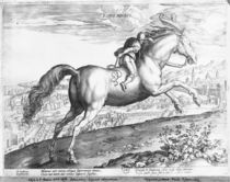 Equus Maurus von Jan van der Straet