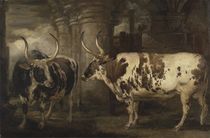 Portraits of two extraordinary oxen von James Ward
