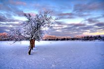 Winterlandschaft von Jens Uhlenbusch