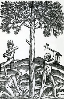 Tree cutting, illustration from 'Singularities of France Antarctique' von French School