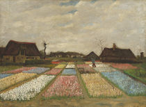 Flower Beds in Holland, c.1883 von Vincent Van Gogh