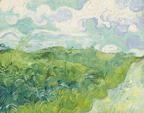 Green Wheat Fields, Auvers von Vincent Van Gogh