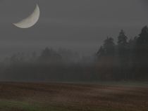 mond im hunsrück by georg gensler