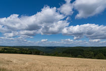 Stoppelacker im Spätsommer by Ronald Nickel