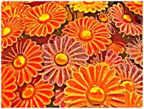 Gerbera  by Sandra  Vollmann